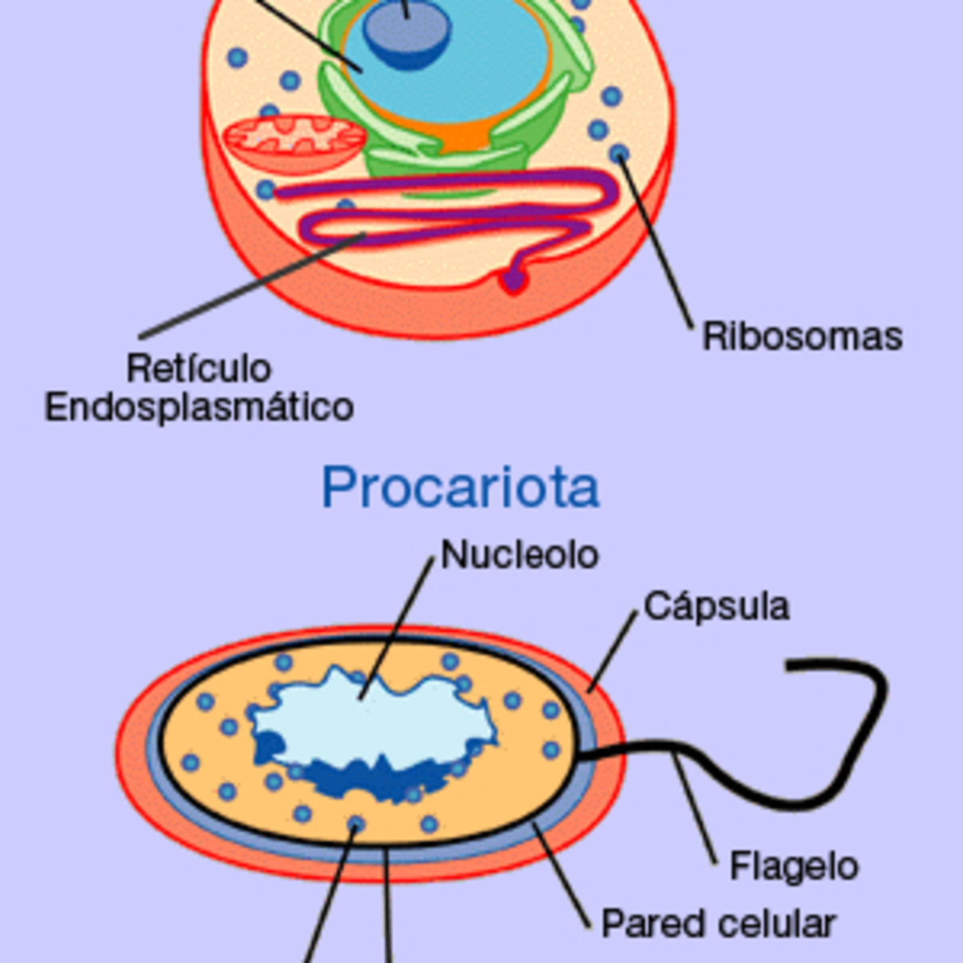 BIOLOGÍA 