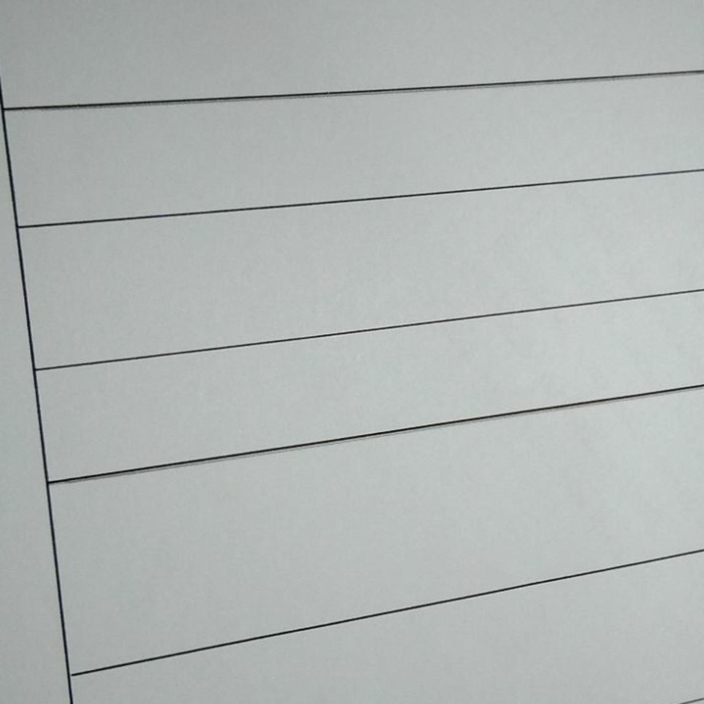 Sara Vega Bueno Labrador