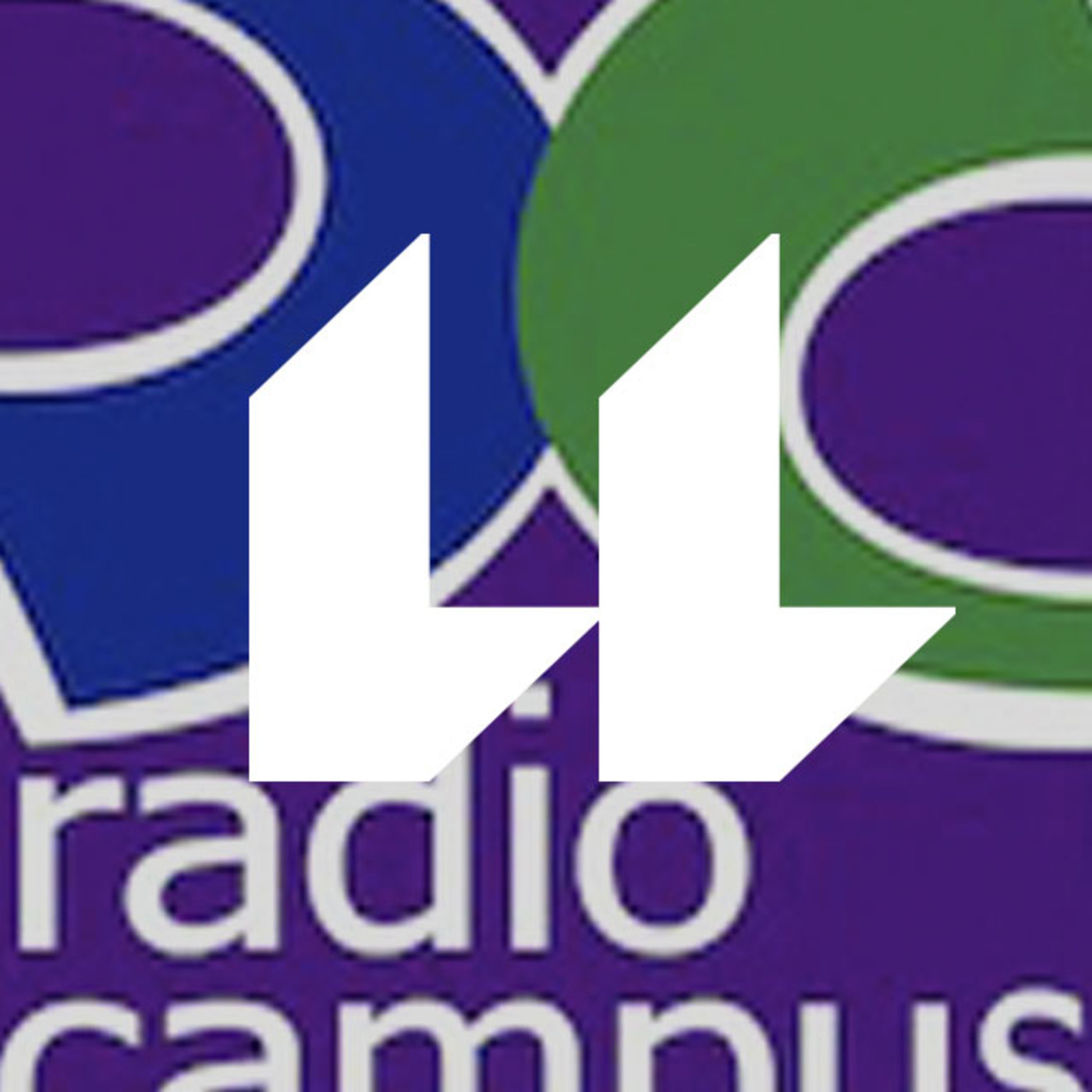 Cursos interdisciplinares y transdisciplinares