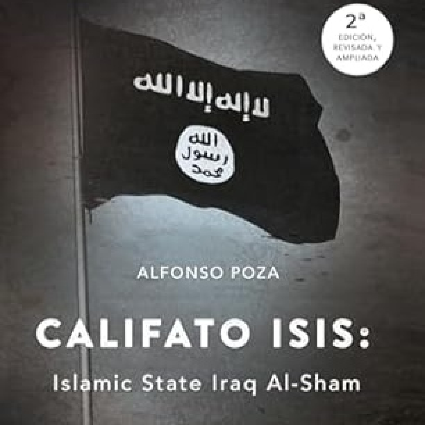 CALIFATO ISIS: PASADO, PRESENTE Y FUTURO. cover art