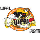 Falcon Radio