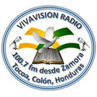 VIVAVISION