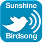 Sunshine Birdsong