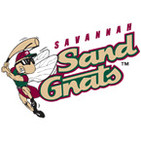 Savannah Sand Gnats Baseball Network