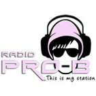 Radio Pro-B