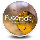 Pulse Radio