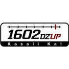 DZUP