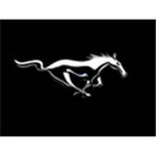 Manor Mustang Radio