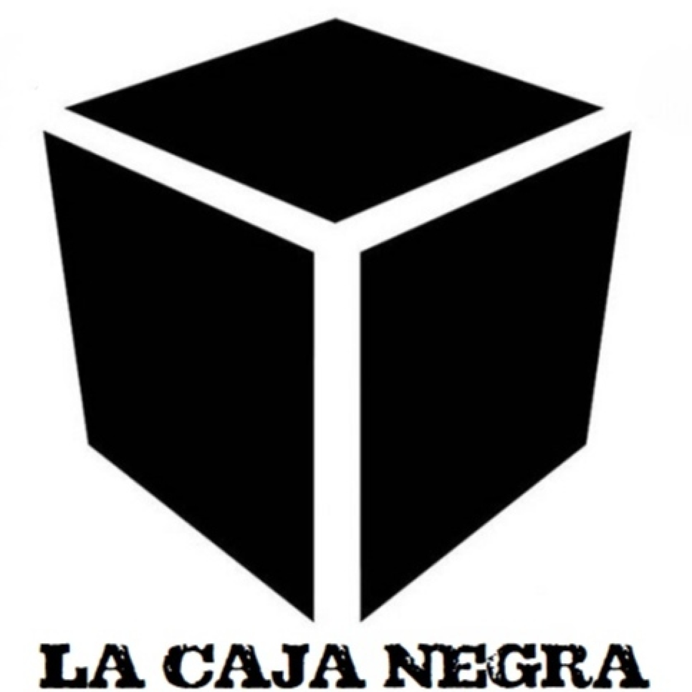 LA CAJA NEGRA